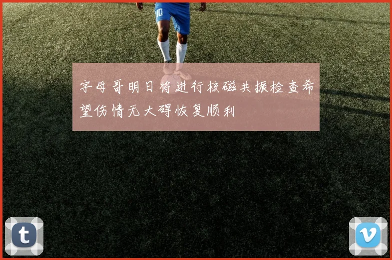 字母哥明日将进行核磁共振检查希望伤情无大碍恢复顺利
